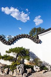 《如龙8外传》细节 真岛的胡子多边形数量已超《如龙4》全身